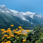 أوبرج دو بوا بران فندق