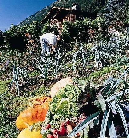 Hotel Du Bois Prin Chamonix