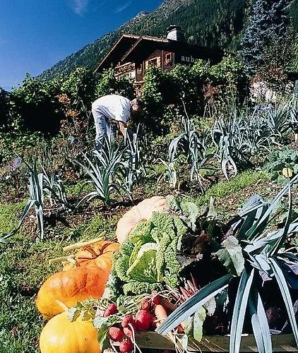 Hotel Du Bois Prin Chamonix Mont Blanc